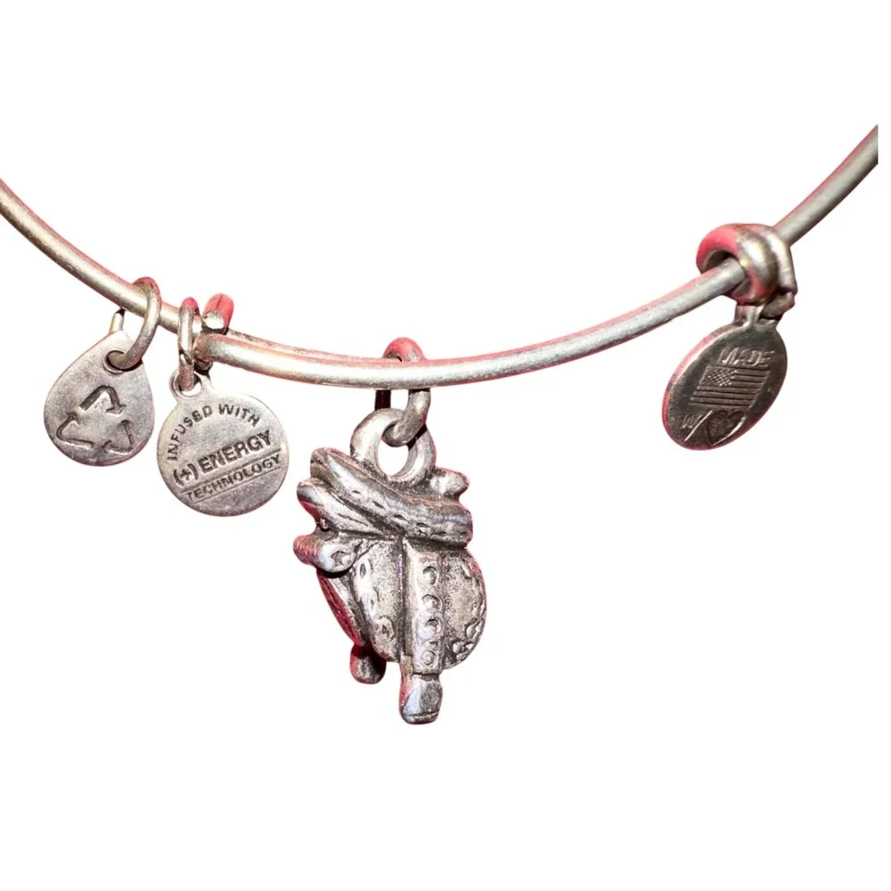 Alex and Ani Sadle Charm Bangle Bracelet Expandable Silver Tone‎